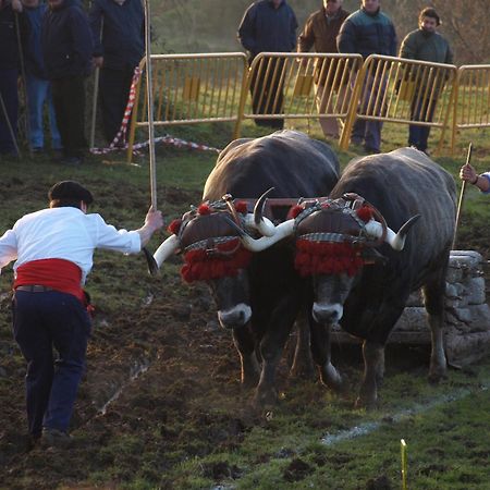 Hosteria El Pomar Novales Dış mekan fotoğraf